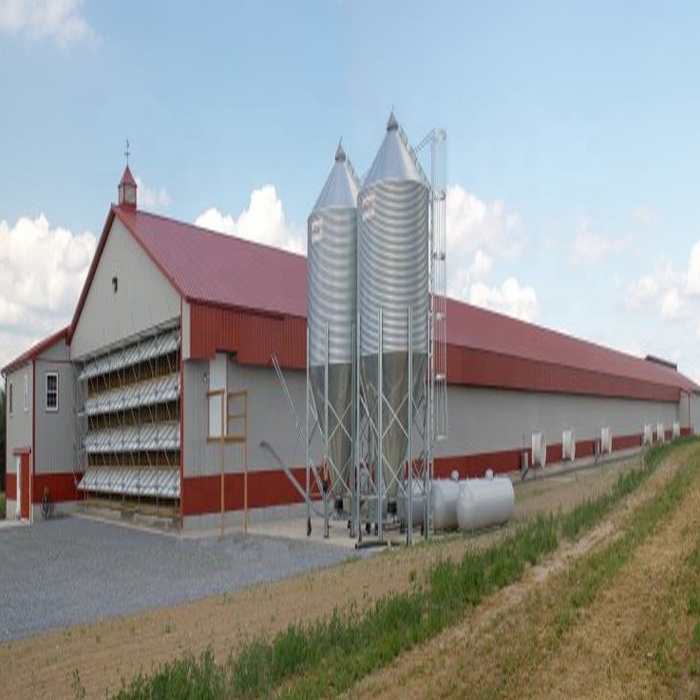 steel structure farm chicken poultry house prefab building cow barn