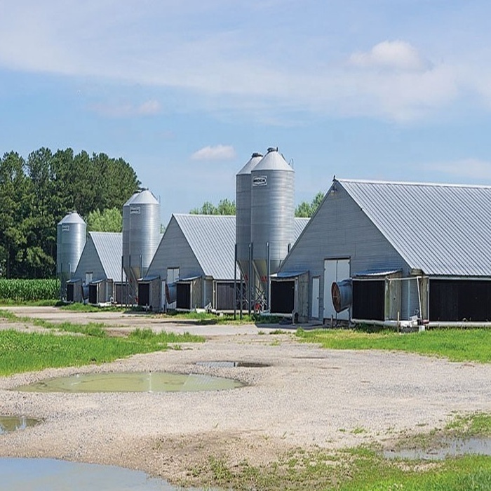 steel structure farm chicken poultry house prefab building cow barn