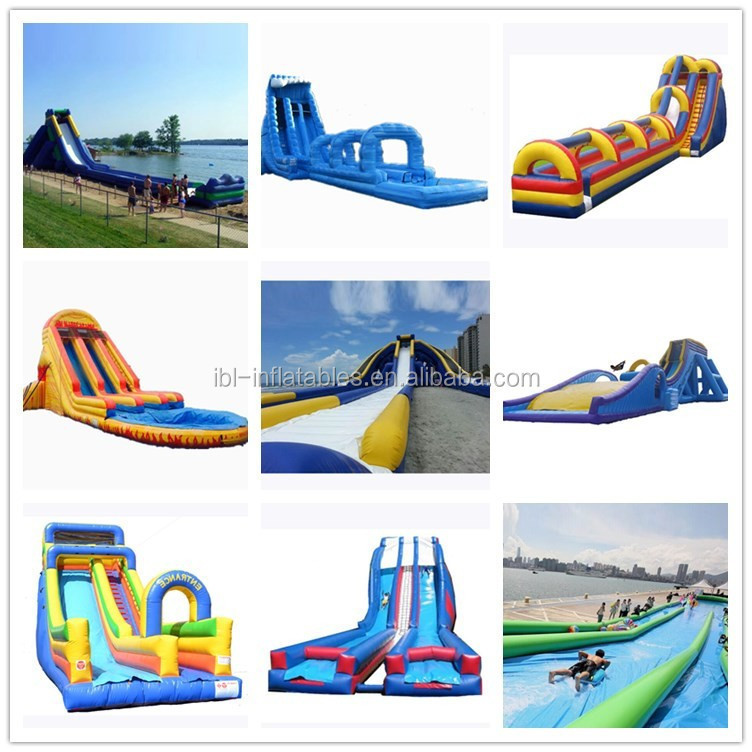 Cheap Inflatable toboggan park Bounce House Slide single lane dolphin theme inflatable wave water slide for sale