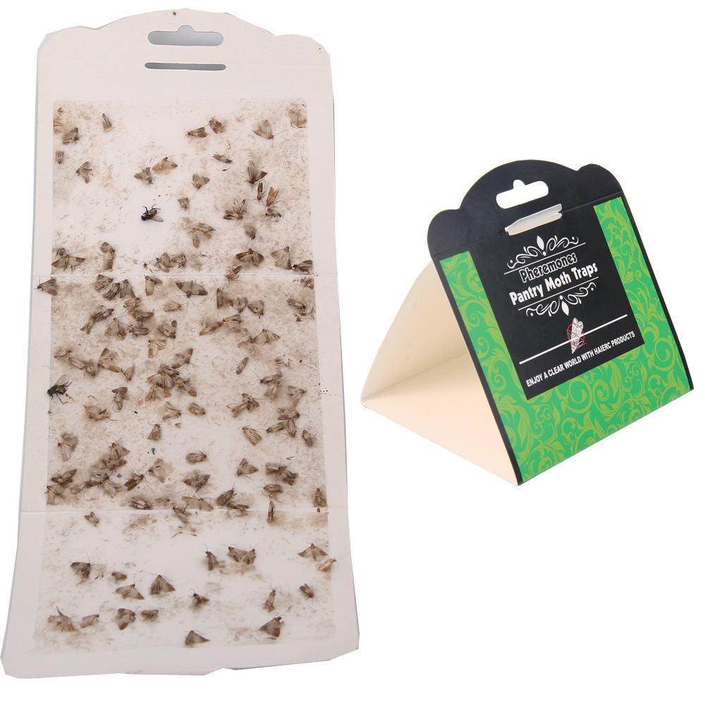 Effective superior Clothes Moth Traps with Pheromone Lures