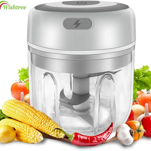 Food grade onion vegetable chopper slicer - 2021 multi-function electric small garlic food chopper for chop baby food salad