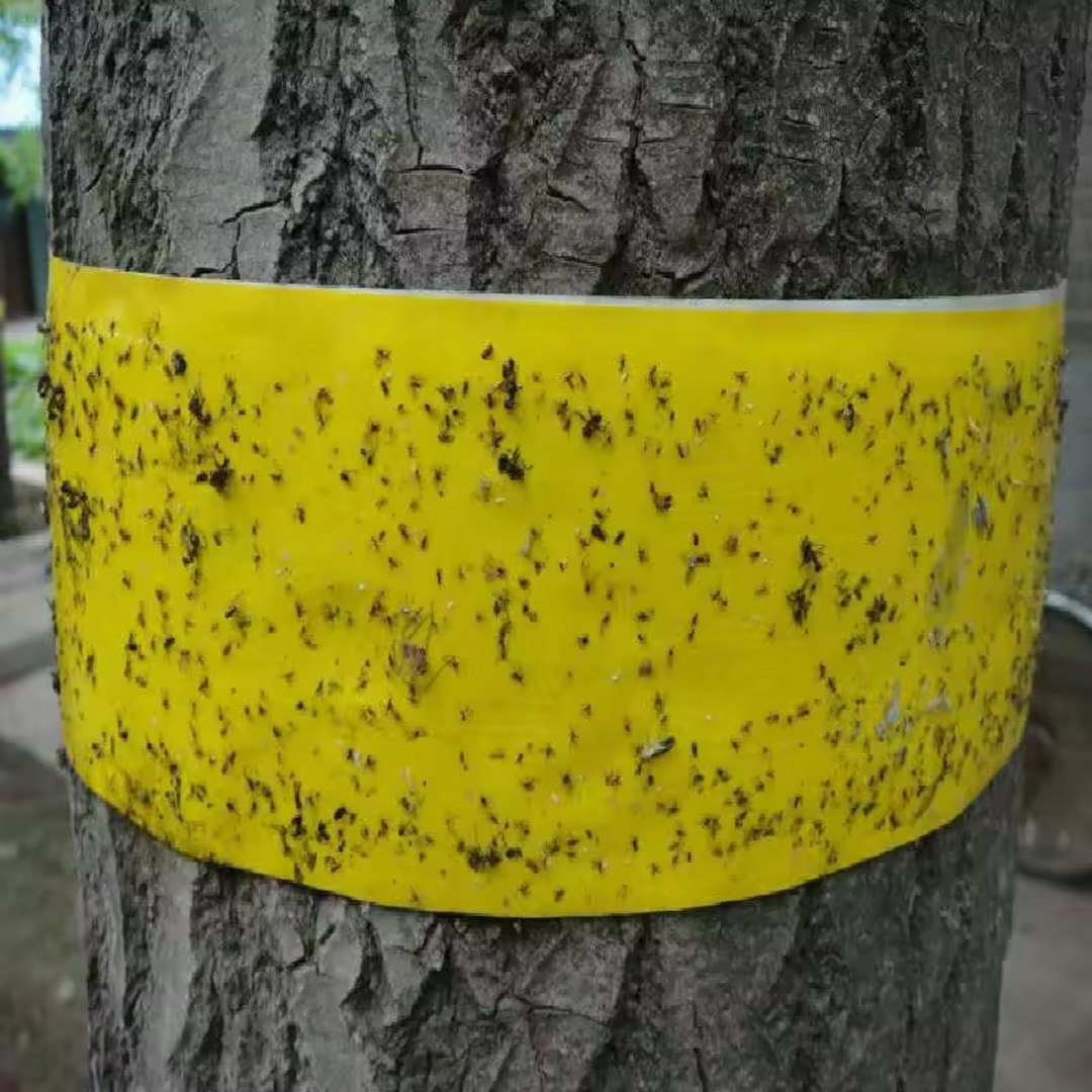 Waterproof Yellow Sticky Fruit Fly Paper Insect Glue Roll Traps insect double-sided Glue Trap