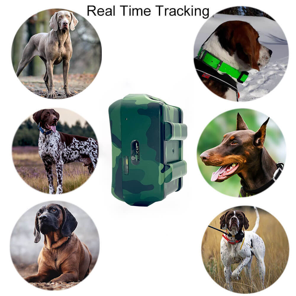 Hunting Dog GPS Tracker Antilost Pet Collar with E-shock Strobe Light  4000mah Long Standby 4G Realtime Locator for Pet Tracking