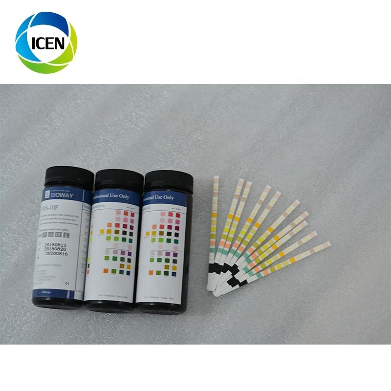 Urine Test  Strip 10 Parameters Urine Creatinine Test Strips Reagents Strips For Urine Analyzer