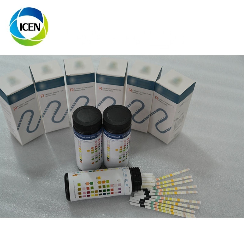 Urine Test  Strip 10 Parameters Urine Creatinine Test Strips Reagents Strips For Urine Analyzer