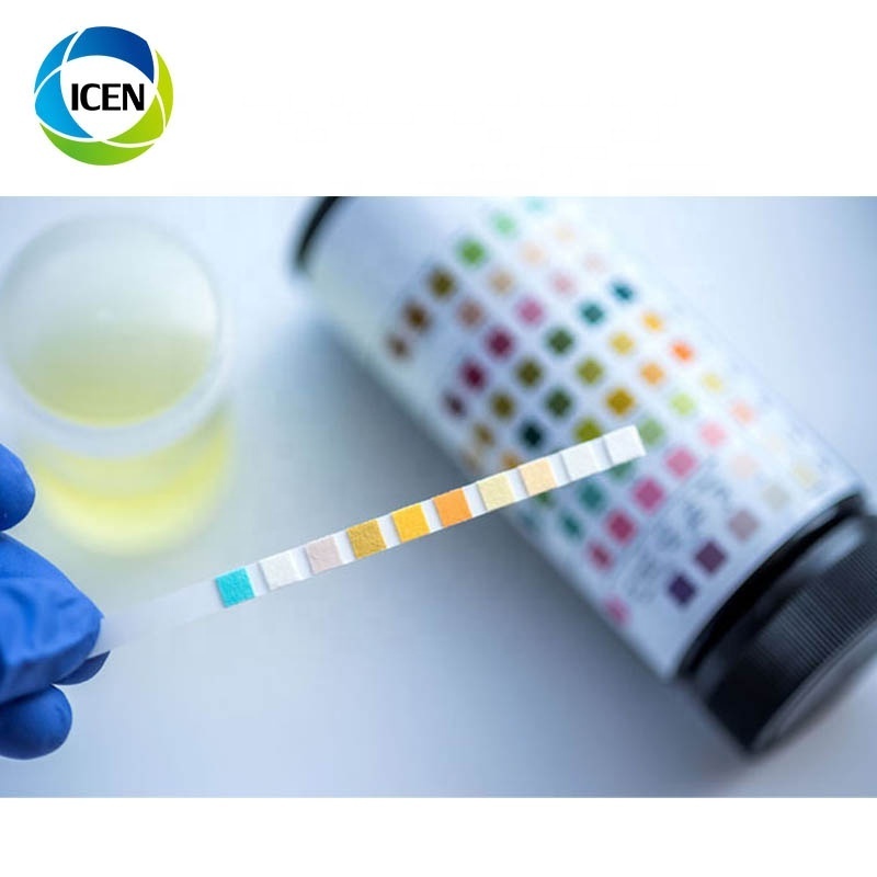 Urine Test  Strip 10 Parameters Urine Creatinine Test Strips Reagents Strips For Urine Analyzer