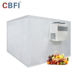 Ammonia cold room price for frozen fish seafood meat blast freezer