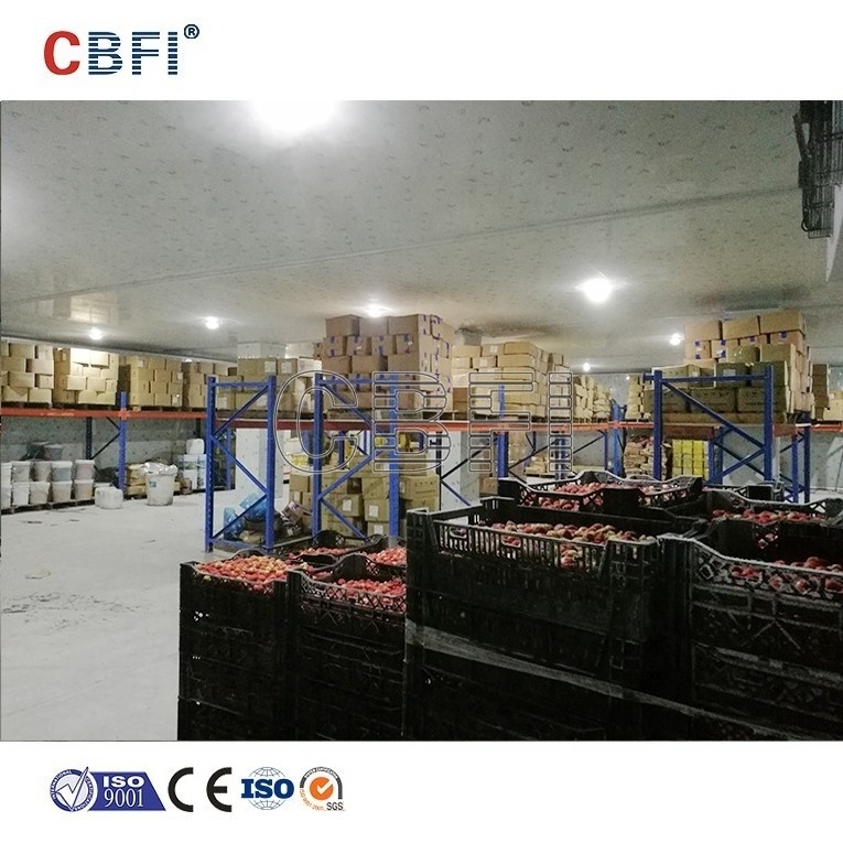 800 Tons Factory Customized Large Cold Storage Room Cooling Room For Food And Vegetable