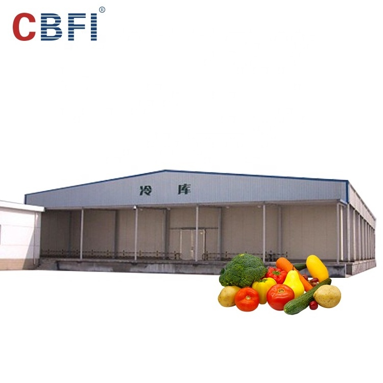 800 Tons Factory Customized Large Cold Storage Room Cooling Room For Food And Vegetable