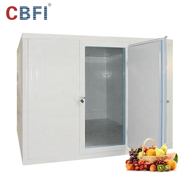 Ammonia cold room price for frozen fish seafood meat blast freezer