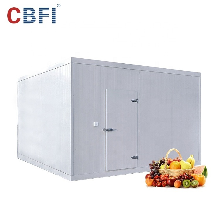 Ammonia cold room price for frozen fish seafood meat blast freezer