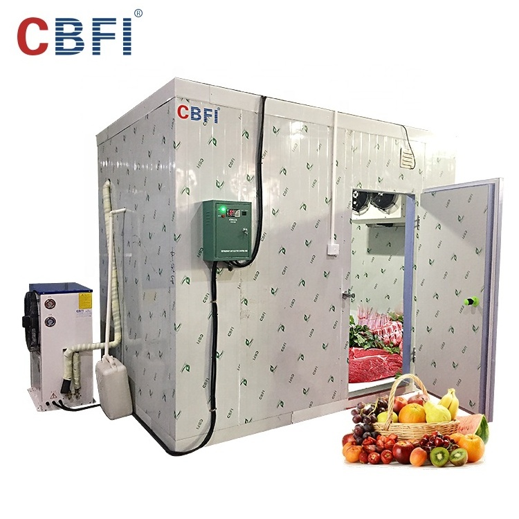 Ammonia cold room price for frozen fish seafood meat blast freezer