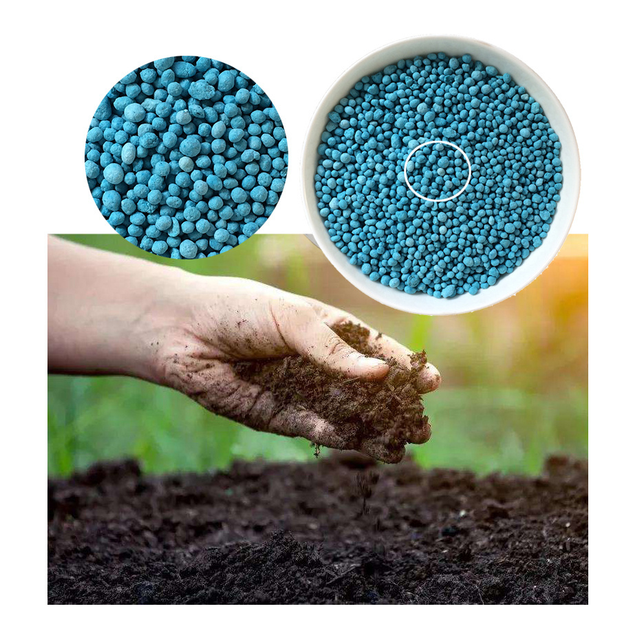 Hot Sale Compound Organic Fertilizer NPK 21 21 21 Water-Soluble for Enhanced Plant Growth