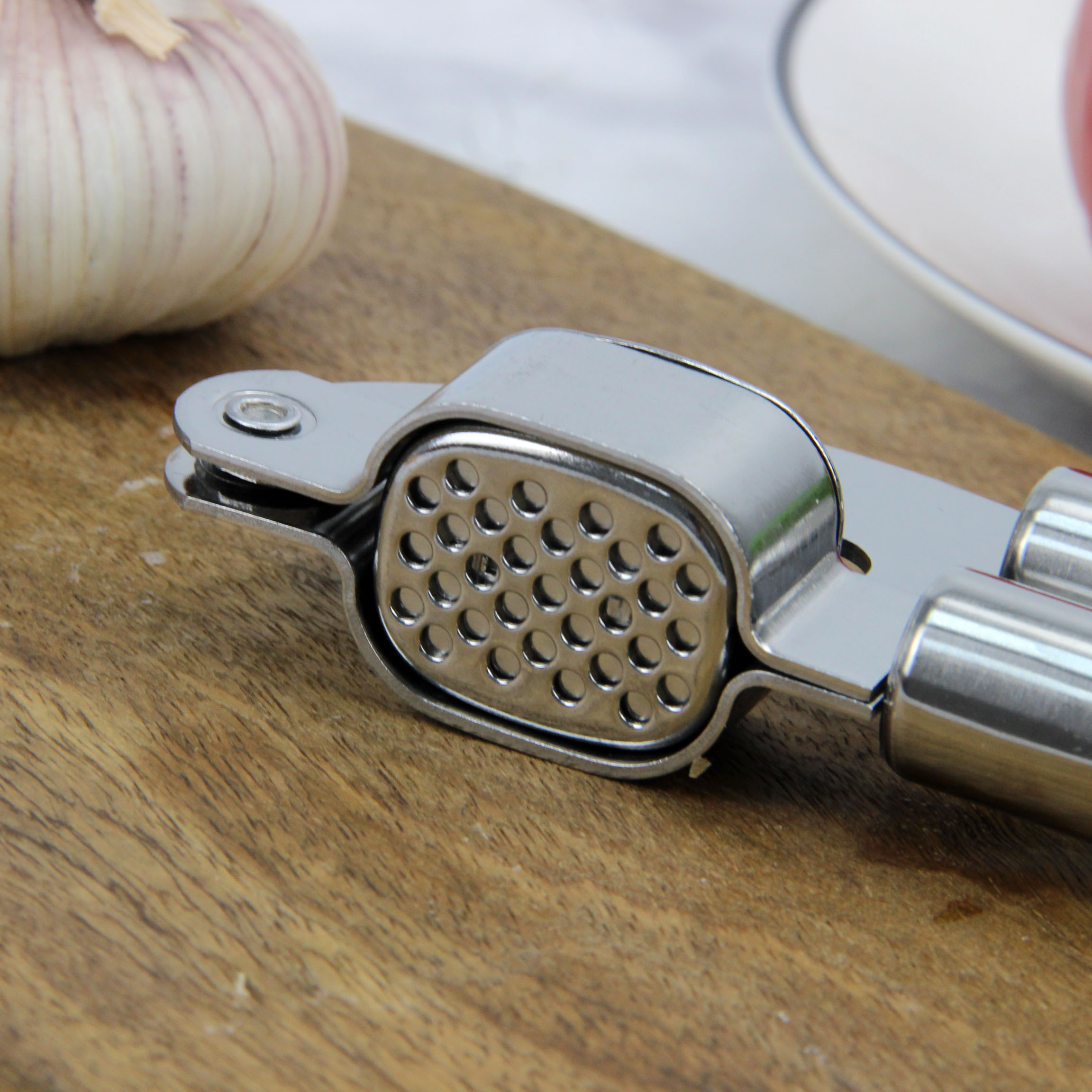 Kitchen Chopper Stainless Steel Crusher Ginger Set Garlic Press