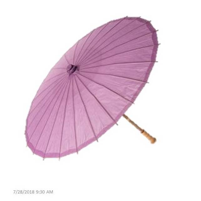 Hand Painted Silk Bamboo Umbrella