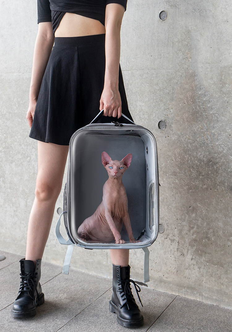 Space Bag Dog Transparent Capsule Small Cat Travel Pet Carrier Airline Approved Backpack