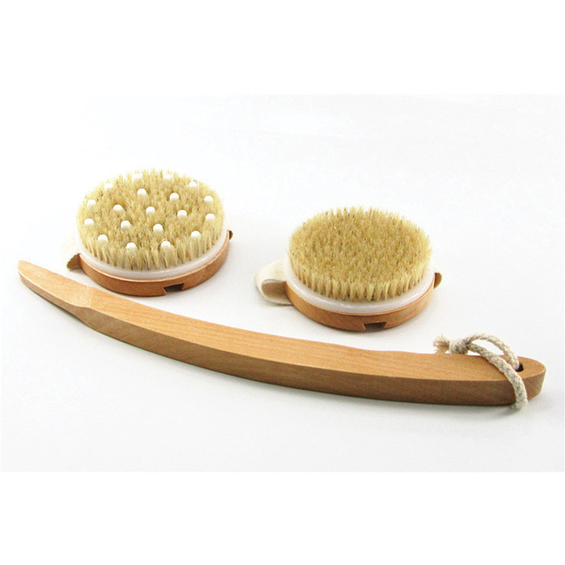 Amazing Adults Handheld Exfoliating Back Scrubber Long Handle Scrubber Clean Body Brush Shower