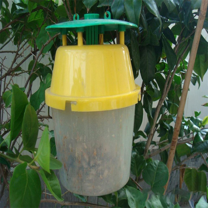 Top Ranking Hanging Type Outdoor Plastic Mosquito Live Killer Yellow Fruit Fly Sticky Traps