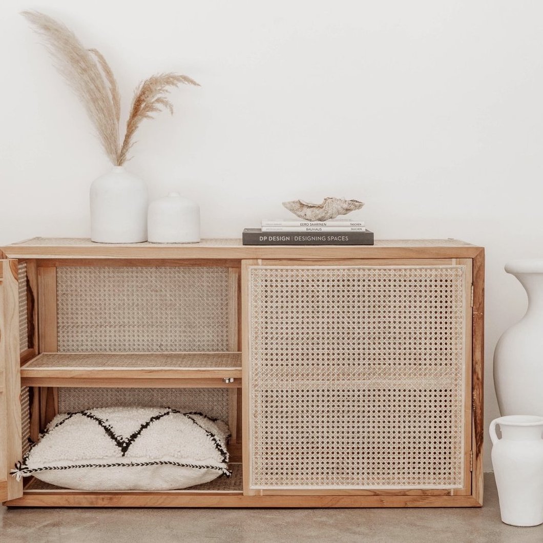 Modern Rattan Living Room Cabinet with Shoe Rack