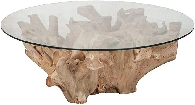 Teak Root Table with Glass Top Living Room Furniture