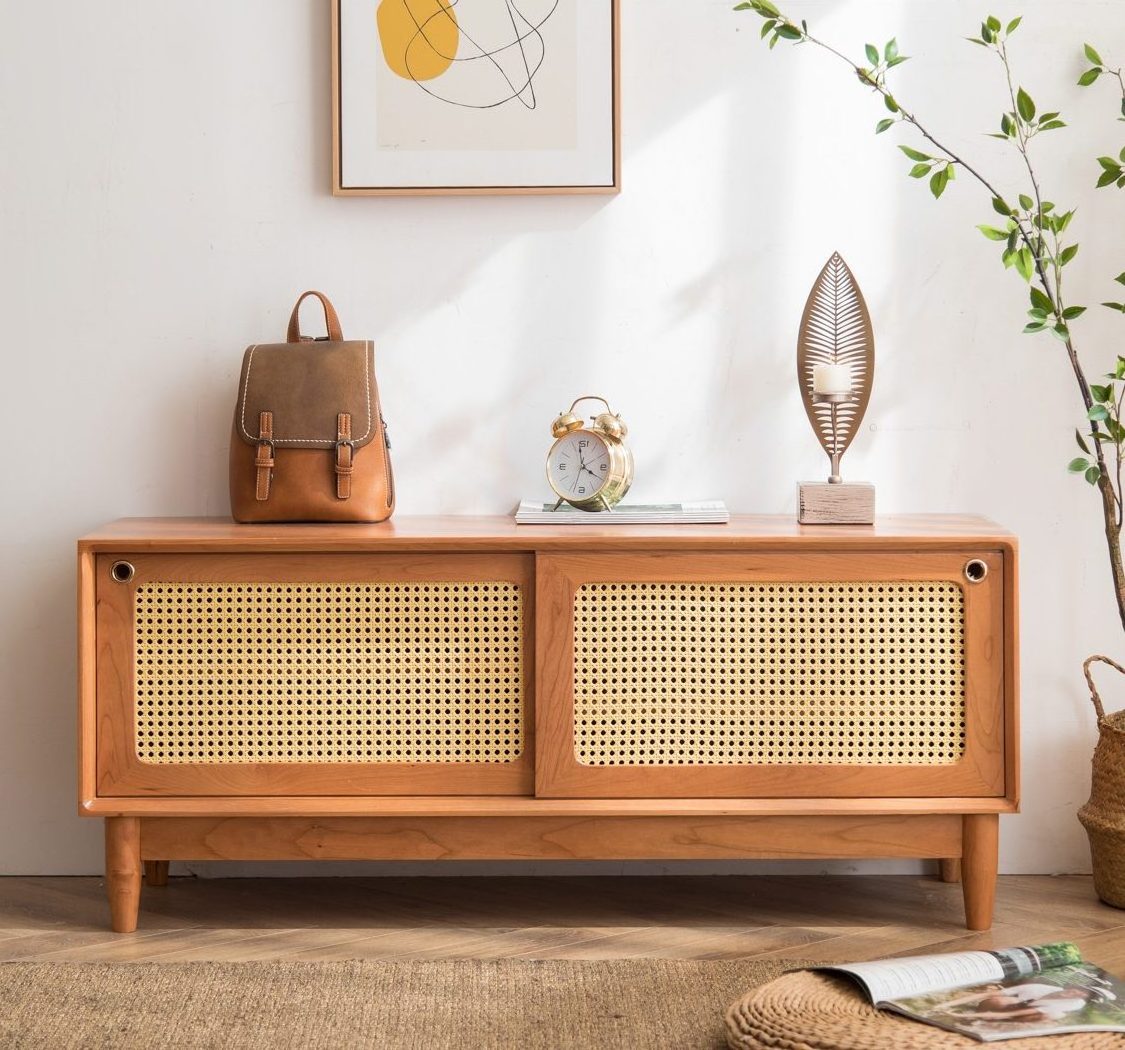 Modern Rattan Living Room Cabinet with Shoe Rack