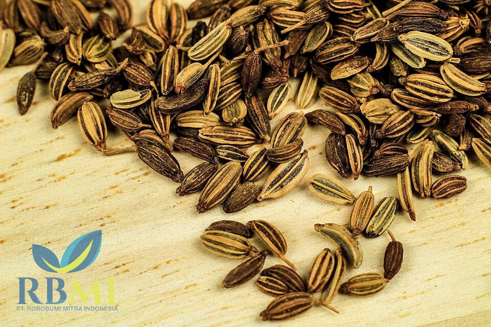 High quality organic pure fennel seeds Single Herbs & Spices