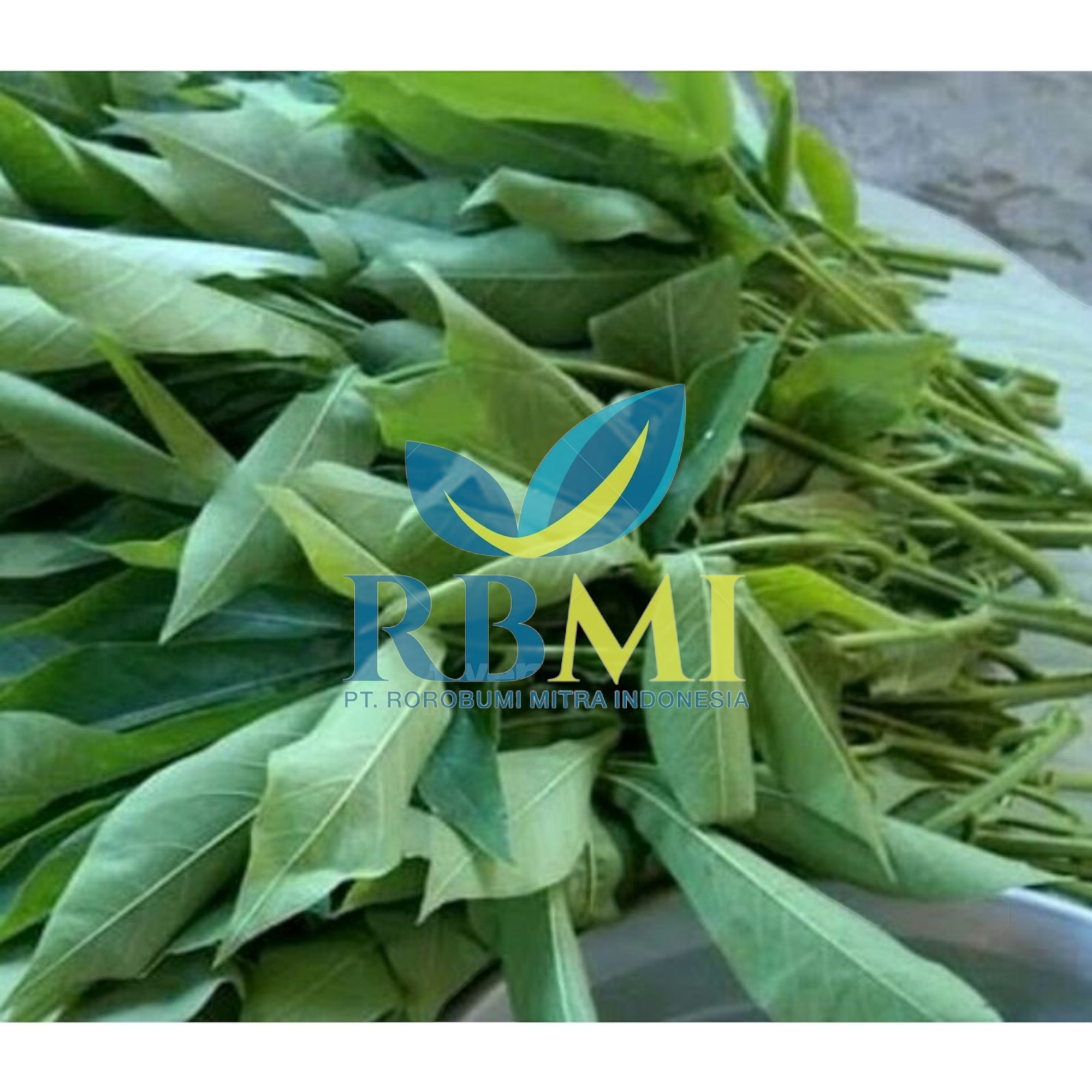 wholesale For Large Order Frozen Ground Cassava Leaves Jumbo Packaging 1 Month Shelf Life Origin From Indonesia