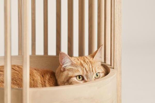 Modern Home & Garden Wooden Cat House Pet Supplies New Design Wooden Animal Pet Dog House