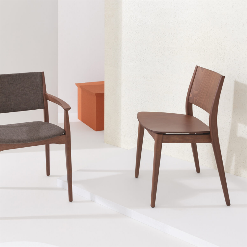 Modern library chair or lounge chair for reading in living room and dining room for library