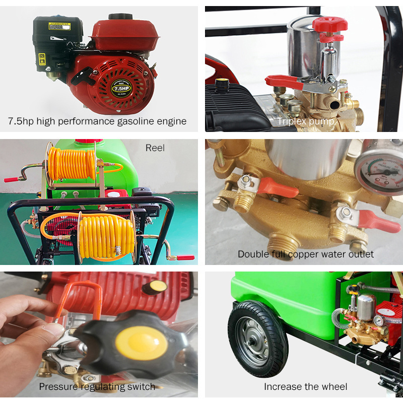 Agricultural Pesticide Sprays Machine 300l Fumigation Spray Equipment