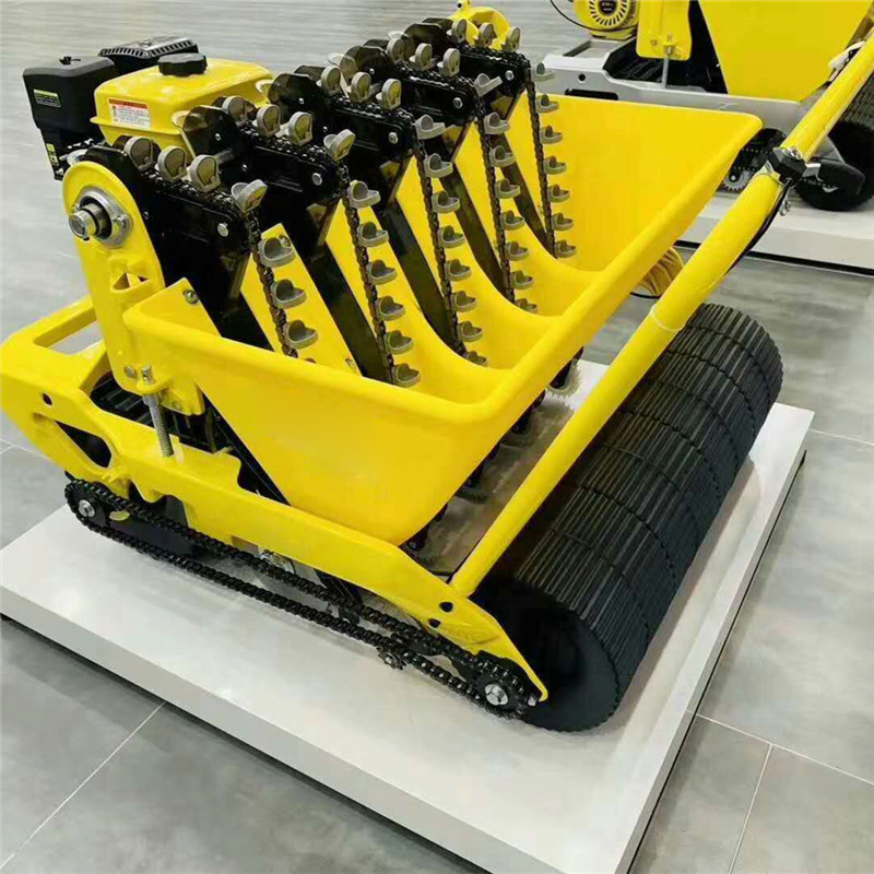 1-6 Row Garlic Cultivator Small Garlic Seed Seeding Planting Machine China Garlic Planting Machine Supplier