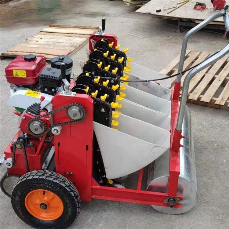 Widely Use Onion Seeder Automatic Agricultural Mechanical Garlic Planter