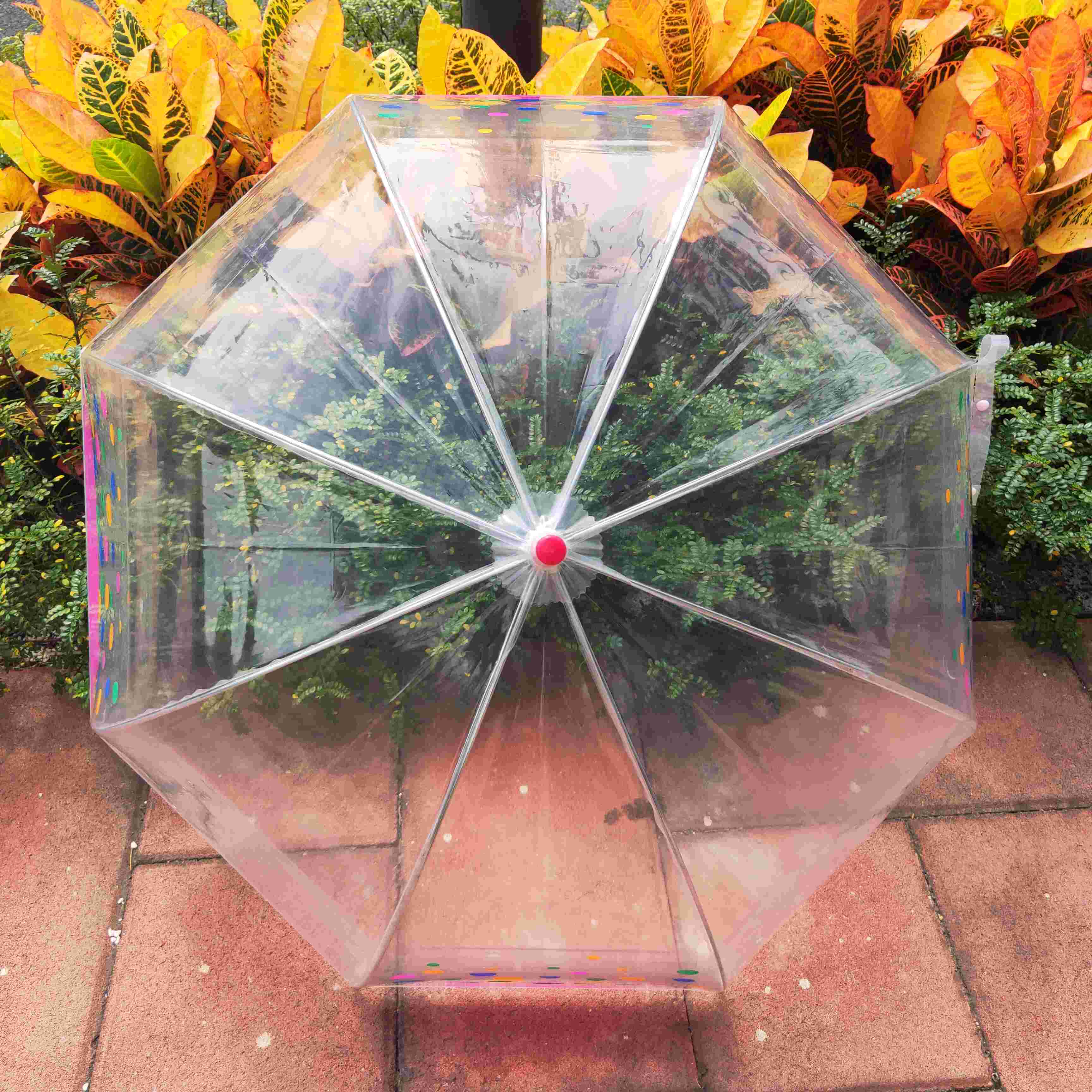 Hot sale popular Apollo umbrella POE clear transparent umbrella  shape plastic umbrella for Pattern print