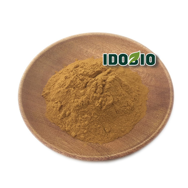 Pure Ginkgo Biloba Extract Powder/Ginkgo Biloba Capsules