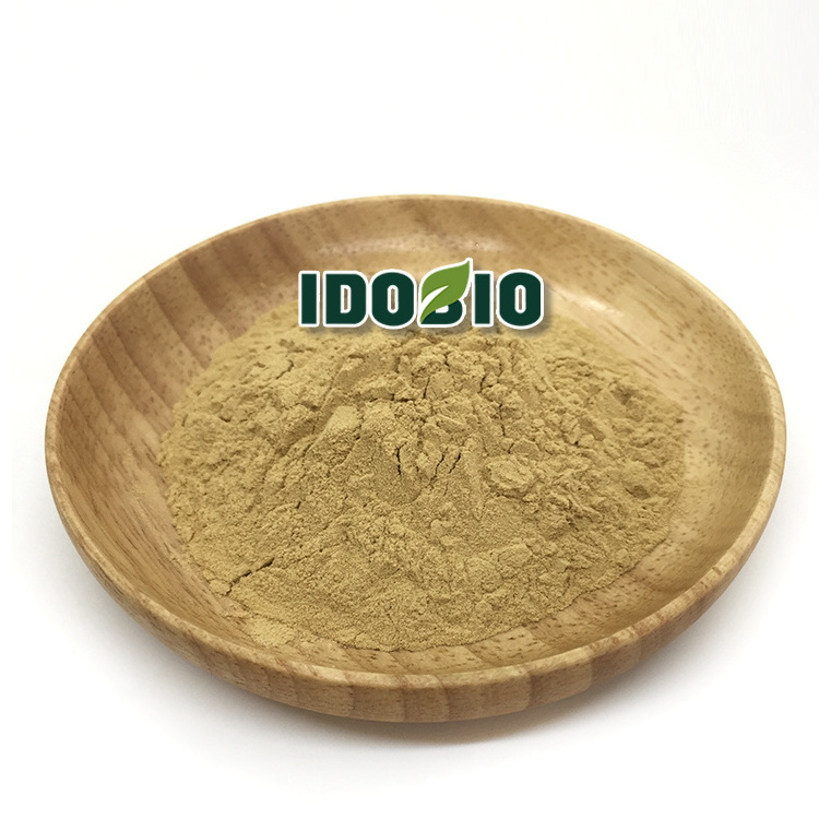 High Quality Kelp seaweed Extract powder