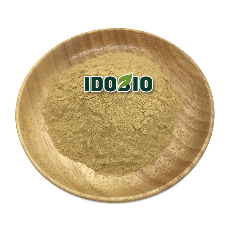 High Quality Kelp seaweed Extract powder