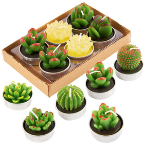 Custom Various Styles Free Combination Paraffin Simulation Potted Plant Cactus Prickly Pear Animal Shape Succulent Rose Candle