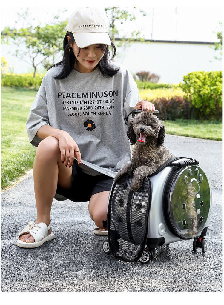 Big Volume Luxury Expandable Dog Cat Backpack Wheeled Trolley Pet Carrier For Detachable Trolley