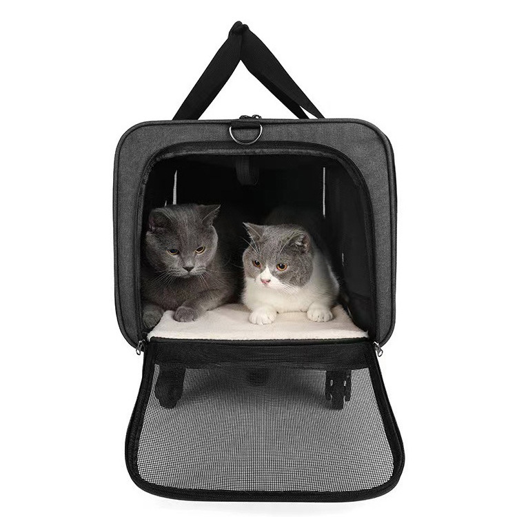 Large Rolling Collapsible Cat Carrier Small Dog Pet Car Travel Carrier with Rollers Wheels Carrier