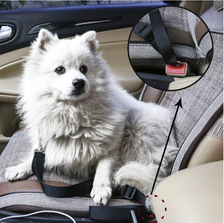 Accessories for Dogs Cats and Pets Adjustable Length Pet Dog Cat car seat Belt Pet seat Belt