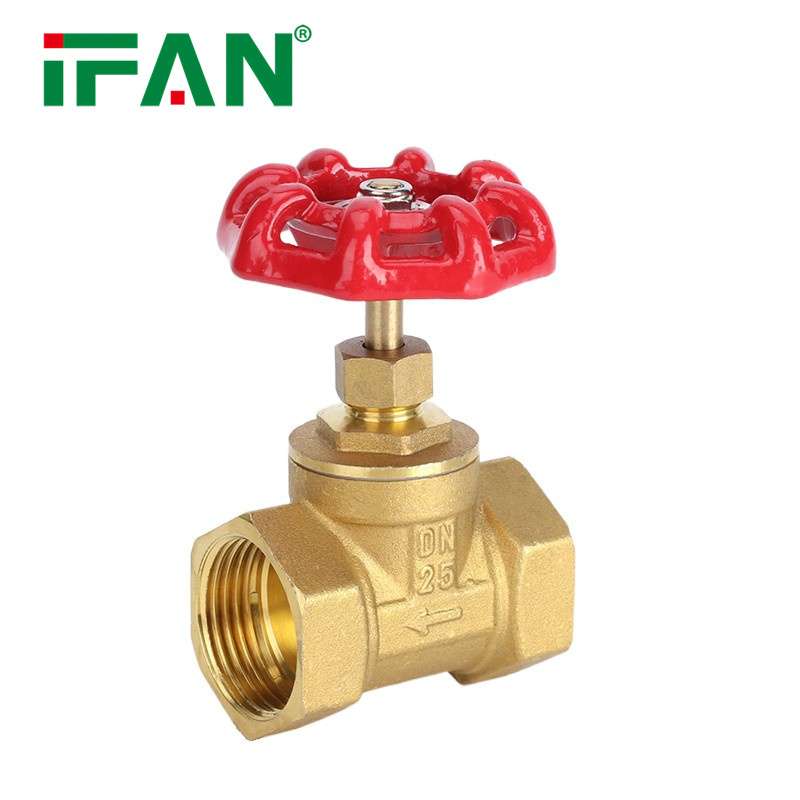 IFAN Hot Selling Female Thread Plumbing 1/2