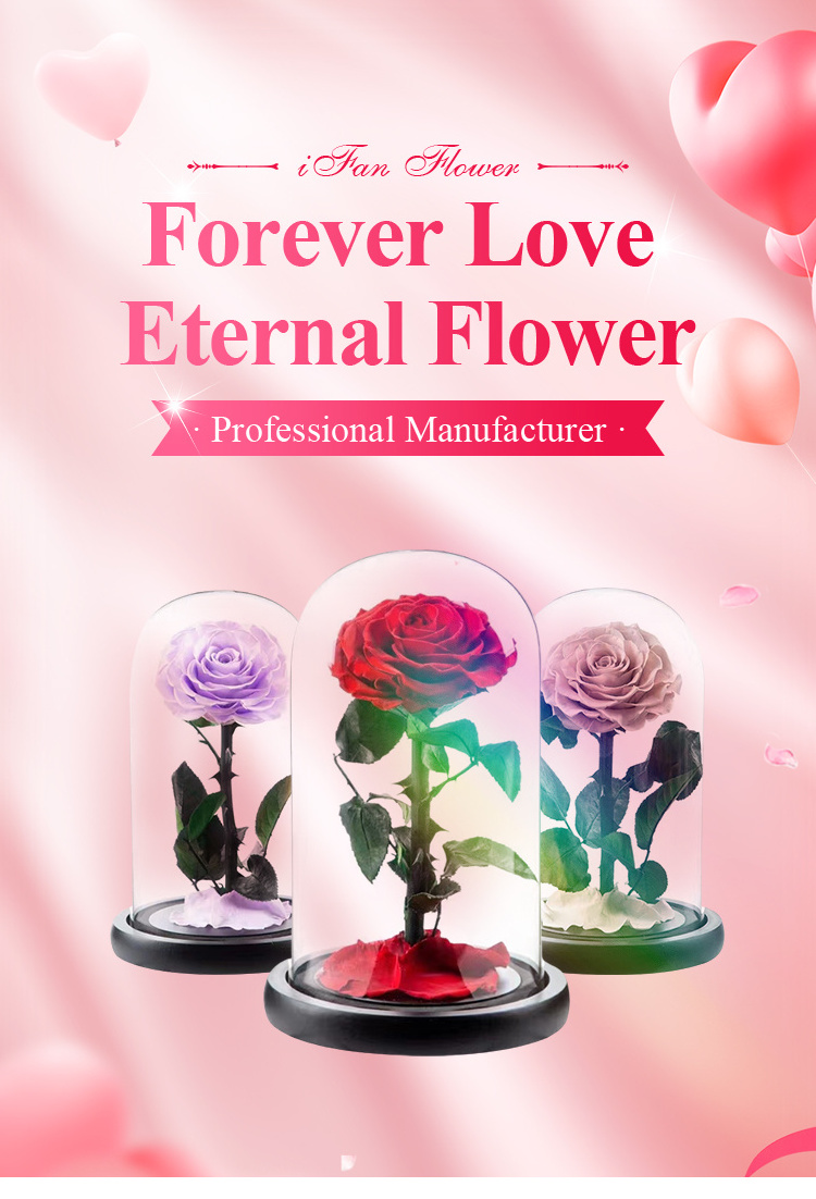 Preserved Roses High Quality Real Eternal Preserved Rosas Eternas Preservadas Flower in Gifts Box