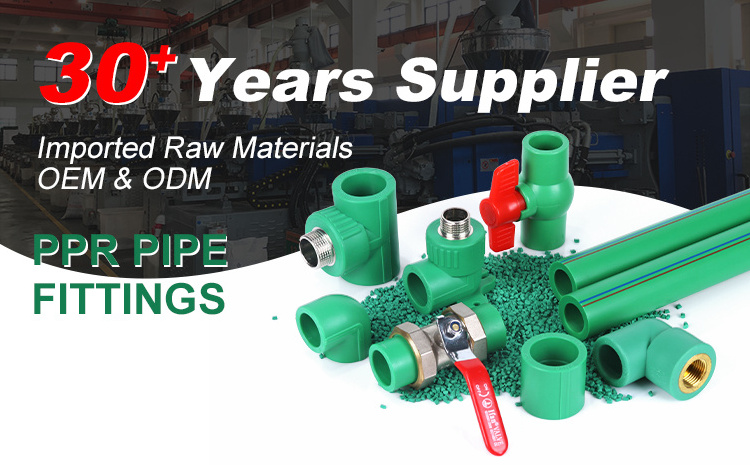 IFAN PPR Fittings 16-40MM PN25 Green PPR Pipe Clip Germany Standard PPR Pipes And Fittings