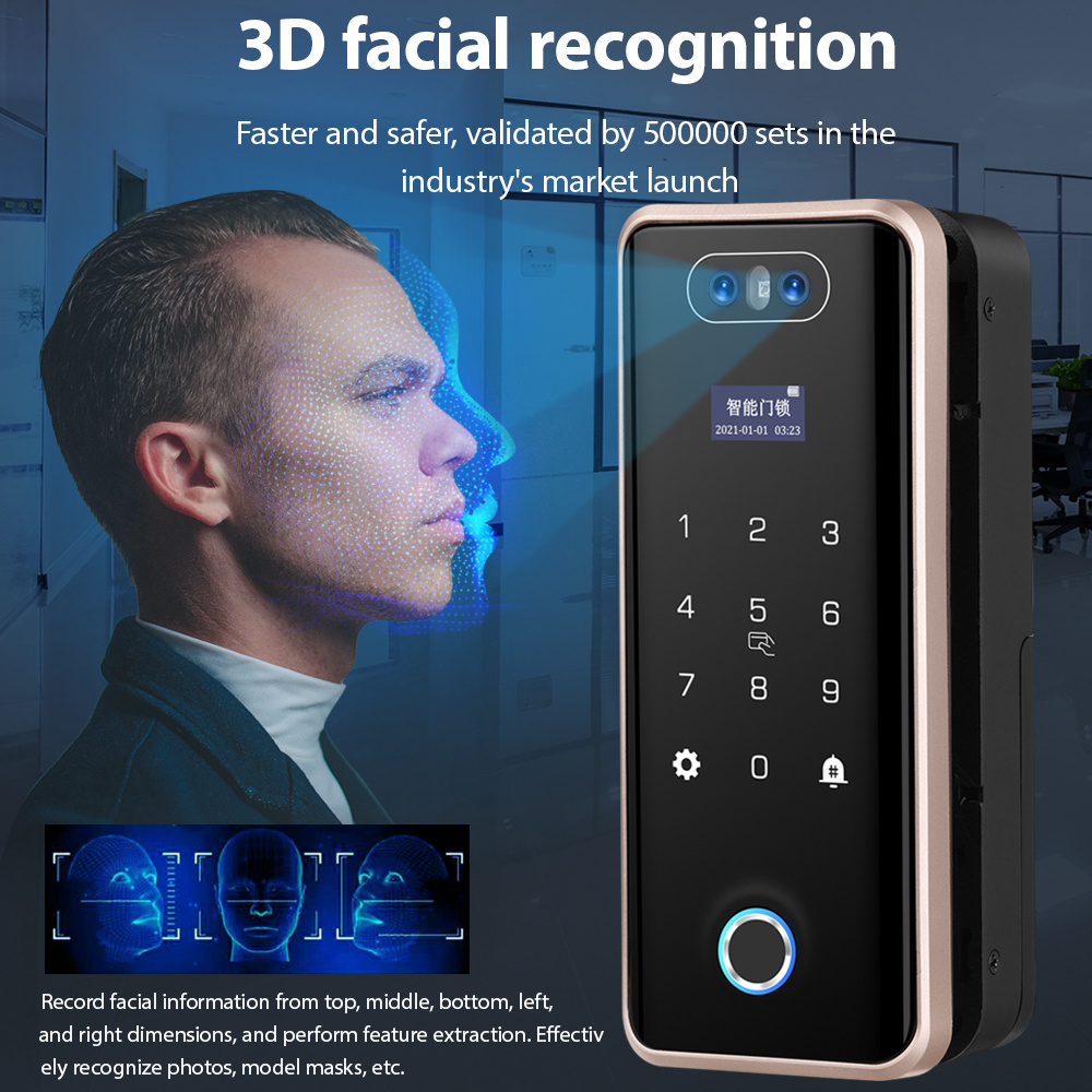 Glass Door Double Hook Deadbolt Smart Door Lock with 3D Face Recognition Fingerprint App Password Key Card