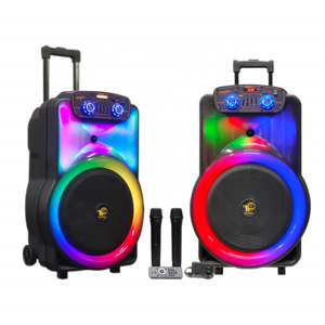 Portable 15 inch DJ speaker Big New Design trolley Speaker TWS Rod Speaker With Coloured Lights IFeiGift IF-1503Q