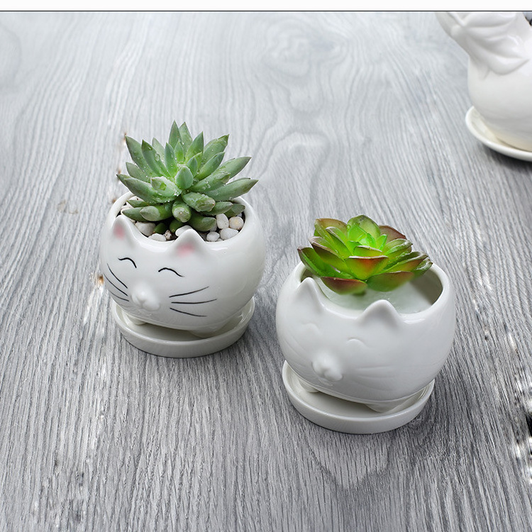 Succulent Cartoon Pot Cute Cat flowerpot Creative White Ceramic Animal Party Flower Pot Gardening Balcony Decoration