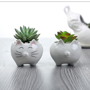 Succulent Cartoon Pot Cute Cat flowerpot Creative White Ceramic Animal Party Flower Pot Gardening Balcony Decoration