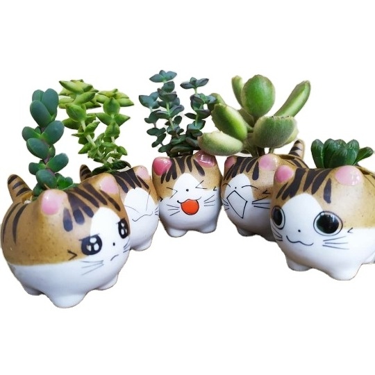 Home Garden Desktop Balcony Decor Gift Cute Mini Cat Ceramic Flower Pot Small Cartoon Planter Succulent Plants Bonsai Cactus Pot