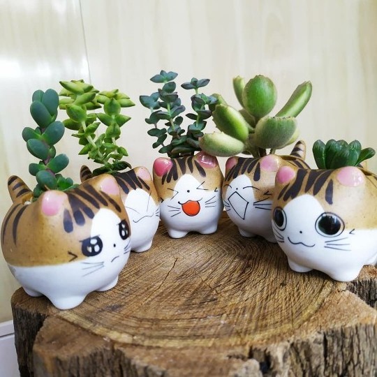 Home Garden Desktop Balcony Decor Gift Cute Mini Cat Ceramic Flower Pot Small Cartoon Planter Succulent Plants Bonsai Cactus Pot