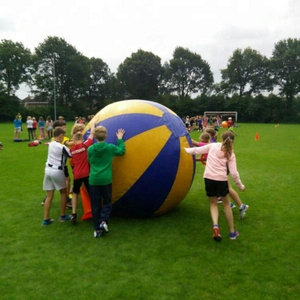 PVC Giant Inflatable Play Ball / inflatable volleyball model for sale/Advertising Giant Inflatable ball